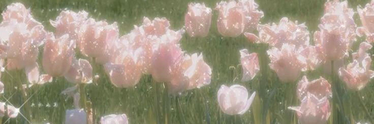 Mochiii_Lily's banner