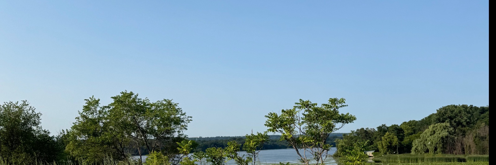 swizzy's banner