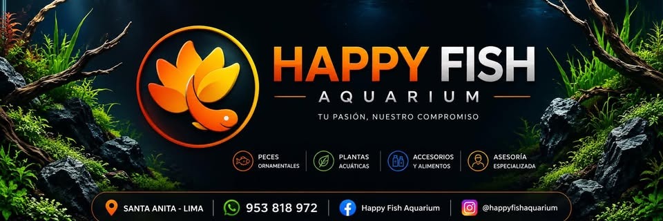 HAPPY FISH's banner